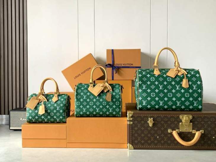Picture of Louis Vuitton Handbags _SKUfw225969506fw